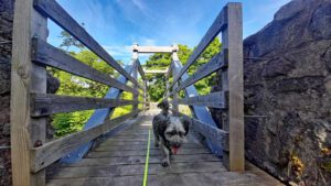 brücke burg schellenberg waldkirch oberpfalz wandern rundweg 2