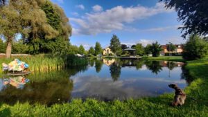 phantastischer fantastischer karpfenweg kemnath oberpfalz