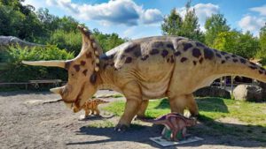 triceratops dinosaurier park teufelsschlucht eifel