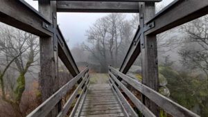 ruine schellenberg oberpfalz wanderweg 2