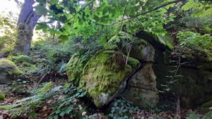 felsen schellenberg oberpfalz wanderweg 2 bayern