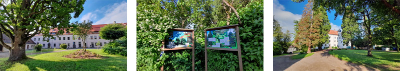 Wanderweg S3 in Scheinfeld 3 wandern steigerwald mittelfranken scheinfeld s3 schloss schwarzenberg