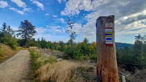 fränkischer gebirgsweg markierung steinwald oberpfalzturm