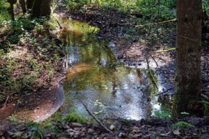 valznerweiher nürnberg wanderung eisweiher fischbach rundweg
