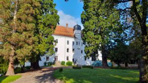 Wanderweg S3 in Scheinfeld 13 schloss schwarzenberg scheinfeld mittelfranken mammut bäume