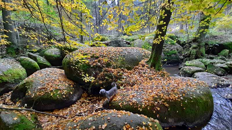 Findlingsweg Floß 20 findlingsweg doost floß oberpfalz oberpfälzer wald wandern
