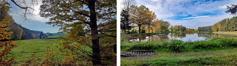 Findlingsweg Floß 25 wandern oberpfälzer wald findlingsweg floss nsg doost