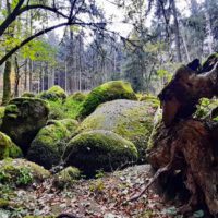 wanderung oberpfälzer wald findlingsweg doost floß waldnaab geotop