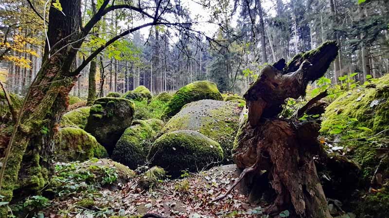 Findlingsweg Floß 8 wanderung oberpfälzer wald findlingsweg doost floß waldnaab