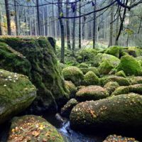 Findlingsweg Floß 1 findlingsweg floß oberpfalz wandern naturschutzgebiet doost