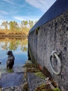 main donau kanal schwanstetten leerstetten rednitzhembach zum rmd kanal wandern