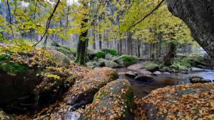 Findlingsweg Floß 6 findlinge fluss bach doost findlingsweg floss oberpfalz