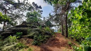 thekenberge harz halberstadt langenstein wanderung gläserner mönch