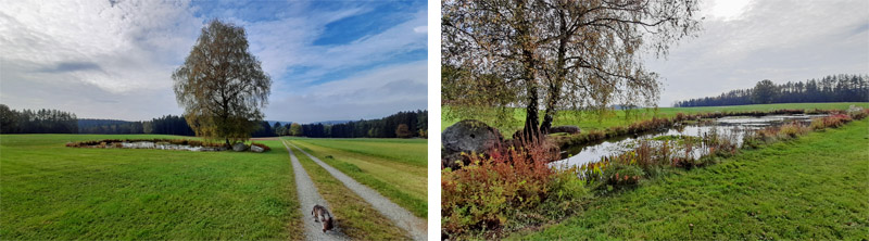 Findlingsweg Floß 26 wanderung findlingsweg floß nsg doost oberpfalz