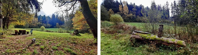 Findlingsweg Floß 14 biotop findlingsweg floß neustadt waldnaab oberpfälzerwald