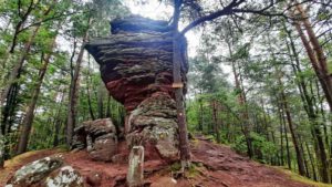 Hauensteiner Schusterpfad (Südwestpfalz) 16 felsturm neding hauenstein rundweg schusterpfad wanderung