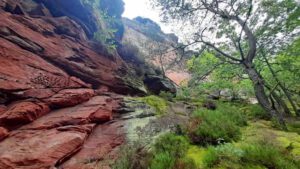 Hauensteiner Schusterpfad (Südwestpfalz) 18 neding felsmassiv hauenstein wanderung schusterpfad