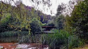 Hauensteiner Schusterpfad (Südwestpfalz) 12 altwiesenweiher hauenstein sehenswürdigkeiten ausflug wandern