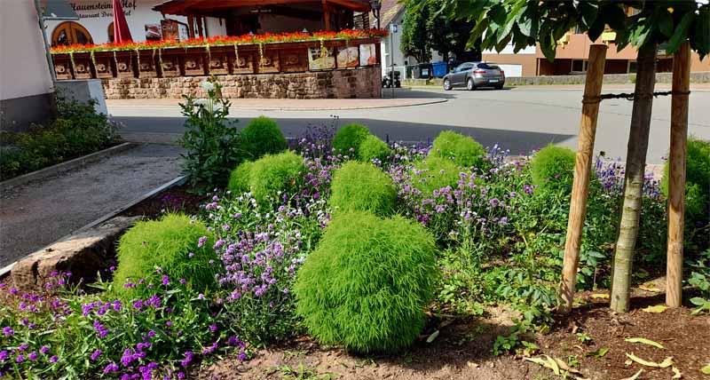 Hauensteiner Schusterpfad (Südwestpfalz) 28 park hauenstein gasthaus wandern einkehr essen schusterpfad