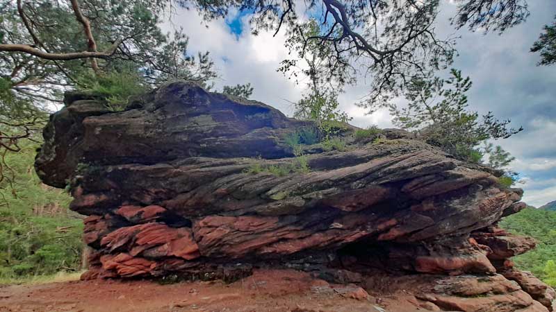 Hauensteiner Schusterpfad (Südwestpfalz) 24 schusterpfad hauenstein pfalz südwestpfalz dahner felsenland wanderung
