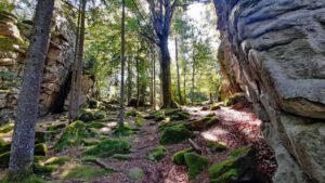Kleine Felsenwanderung im Naturpark Steinwald 11 granit blockmeer räuberfelsen