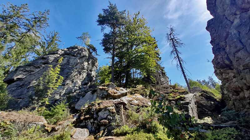 Kleine Felsenwanderung im Naturpark Steinwald 19 waldkopf ratfelsen steinwald pfaben kleiner felsenrundweg