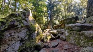 Kleine Felsenwanderung im Naturpark Steinwald 6 vogelfelsen naturpark steinwald wanderung pfaben erbendorf