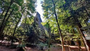 Kleine Felsenwanderung im Naturpark Steinwald 5 vogelfelsen steinwald kleiner felsenrundweg steinwald oberpfalz