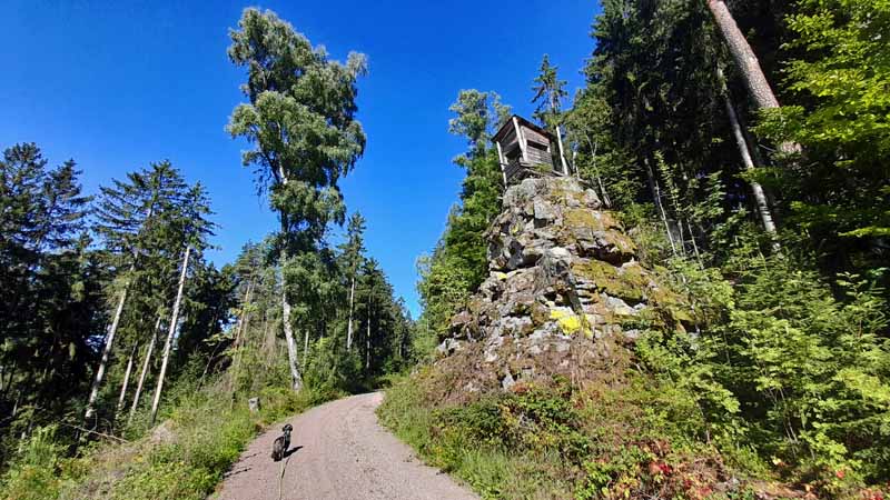 Kleine Felsenwanderung im Naturpark Steinwald 8 hochsitz jäger steinwald pfaben kleine felsenwanderung bayern
