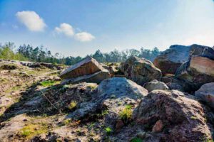 Vom Steinbruch Worzeldorf zum Alten Kanal 6 wandern nürnberg worzeldorf reichswald steinbruch gs schenk