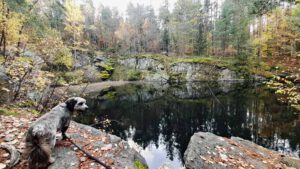 Leuchtenberg Wanderweg 1 ins Lerautal 22 geotop steinbruch nw leuchtenberg lerautal granit wanderweg 1