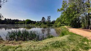 Wiesauer Waldseen und Muckenthaler Teichpfanne 8 burkhardsteich muckendorf kornthan wiesau waldseen weiher rundweg 4a