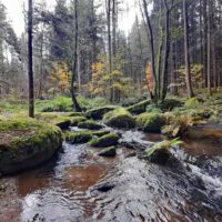 lerautal leuchtenberg 1 wandern rundweg oberpfalz oberpfälzer wald