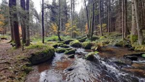 SCHLÖSSER, BURGEN UND RUINEN IN DER OBERPFALZ 24 lerautal leuchtenberg 1 wandern rundweg oberpfalz oberpfälzer wald