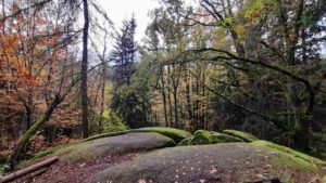 Leuchtenberg Wanderweg 1 ins Lerautal 23 wolfslohklamm lerautal leuchtenberg geotop rundweg 1