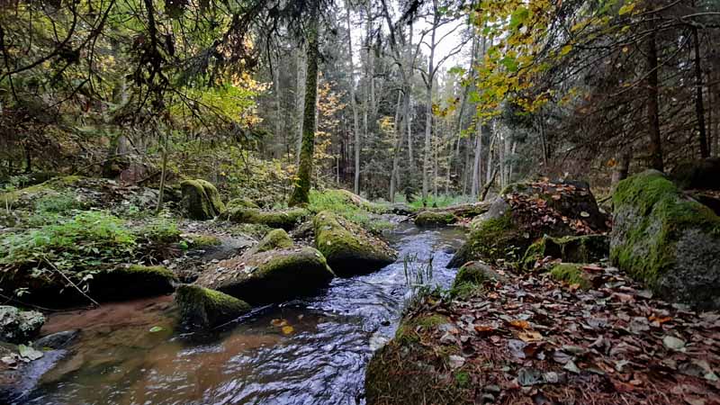 Leuchtenberg Wanderweg 1 ins Lerautal 25 die schönsten wälder in deutschland lerautal leuchtenberg oberpfälzer wald