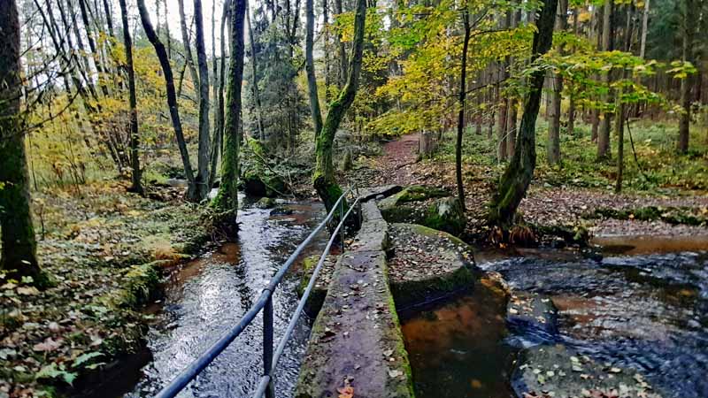 Leuchtenberg Wanderweg 1 ins Lerautal 5 lerautal leuchtenberg wanderung 1 oberpfalz schafssteg leraubach