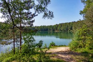 Wiesauer Waldseen und Muckenthaler Teichpfanne 6 silbersee wiesauer weiher waldseen bayern oberpfalz