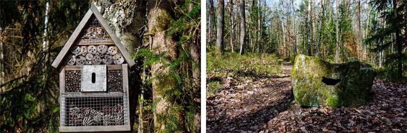 Vom Steinbruch Worzeldorf zum Alten Kanal 10 nürnberger reichswald steinbruch worzeldorf wandern