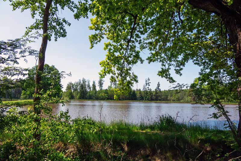 Wiesauer Waldseen und Muckenthaler Teichpfanne 18 wanderweg 4 4a wiesau oberpfalz bayern wandern