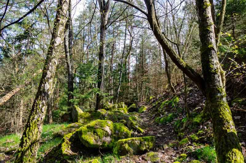 Vom Steinbruch Worzeldorf zum Alten Kanal 32 nürnberg worzeldorf wandern steinbruch