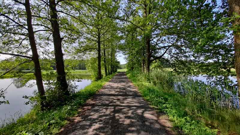 Wiesauer Waldseen und Muckenthaler Teichpfanne 26 wiesauer weiher oberpfalz bayern wanderweg 4