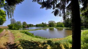 Wiesauer Waldseen und Muckenthaler Teichpfanne 16 karpfen weiher teiche kornthan wiesau oberpfalz wanderung