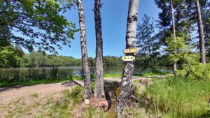 Wiesauer Waldseen und Muckenthaler Teichpfanne 13 wiesau waldseen muckenthal weiher karpfen stiftland teichlandschaft oberpfalz