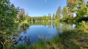 Wiesauer Waldseen und Muckenthaler Teichpfanne 10 kipp wiesau badesee weiher landkreis tirschenreuth stiftland oberpfalz