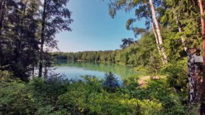 Wiesauer Waldseen und Muckenthaler Teichpfanne 5 silbersee wiesau waldseen wanderweg 4 oberpfalz