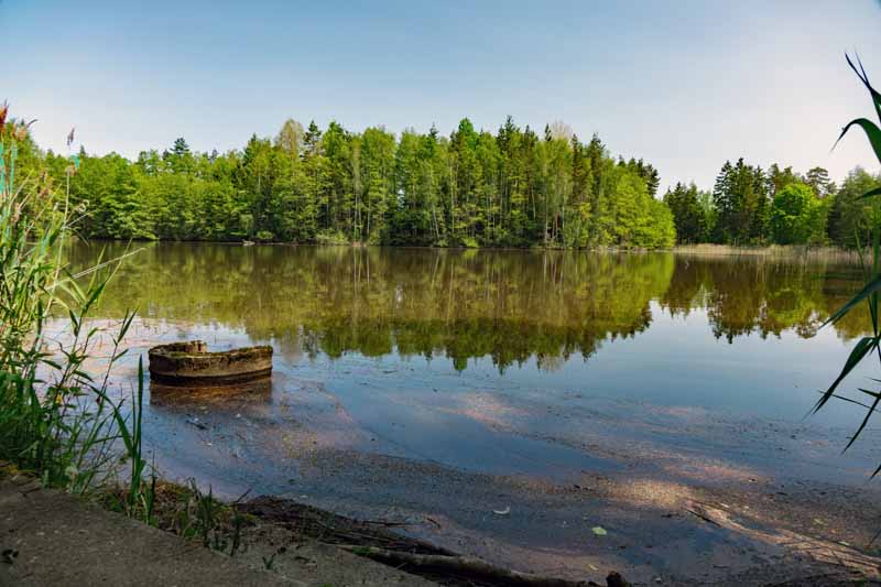 Wiesauer Waldseen und Muckenthaler Teichpfanne 4 wiesau waldseen teich karpfen tongrube rundweg wanderweg 4 a