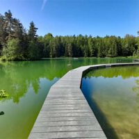 wiesauer kipp waldsee rundweg 4 wandern oberpfalz badesee