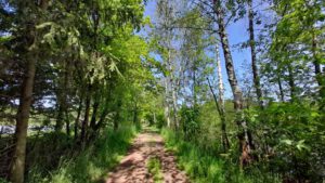 Wiesauer Waldseen und Muckenthaler Teichpfanne 25 damm zwischen zwei teichen wanderweg 4 4a wiesau bayern oberpfalz