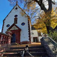 wanderung grossheubach main unterfranken kloster engelberg mainauen